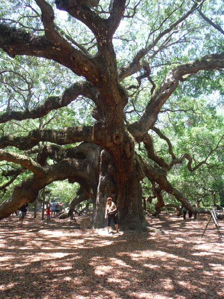 Karen Duquette by the Angel Oak Tree